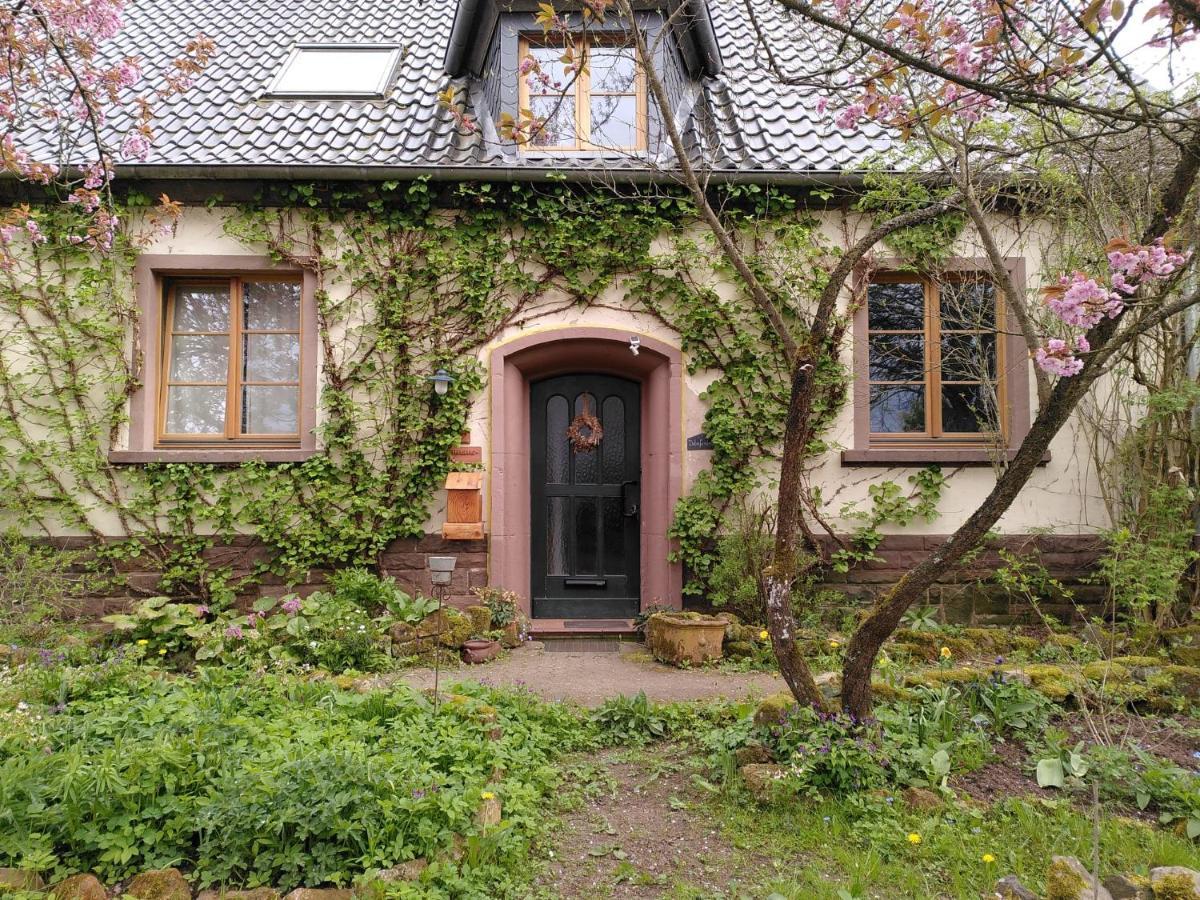 Apartamento Dolcefarniente Dohm-Lammersdorf Exterior foto